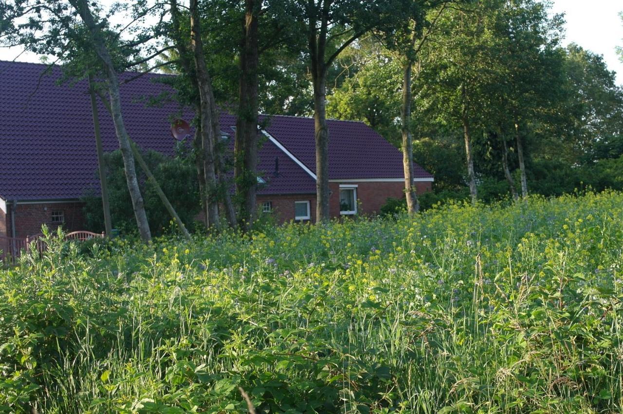 Bed and Breakfast De Moane Akelsbarg Zewnętrze zdjęcie